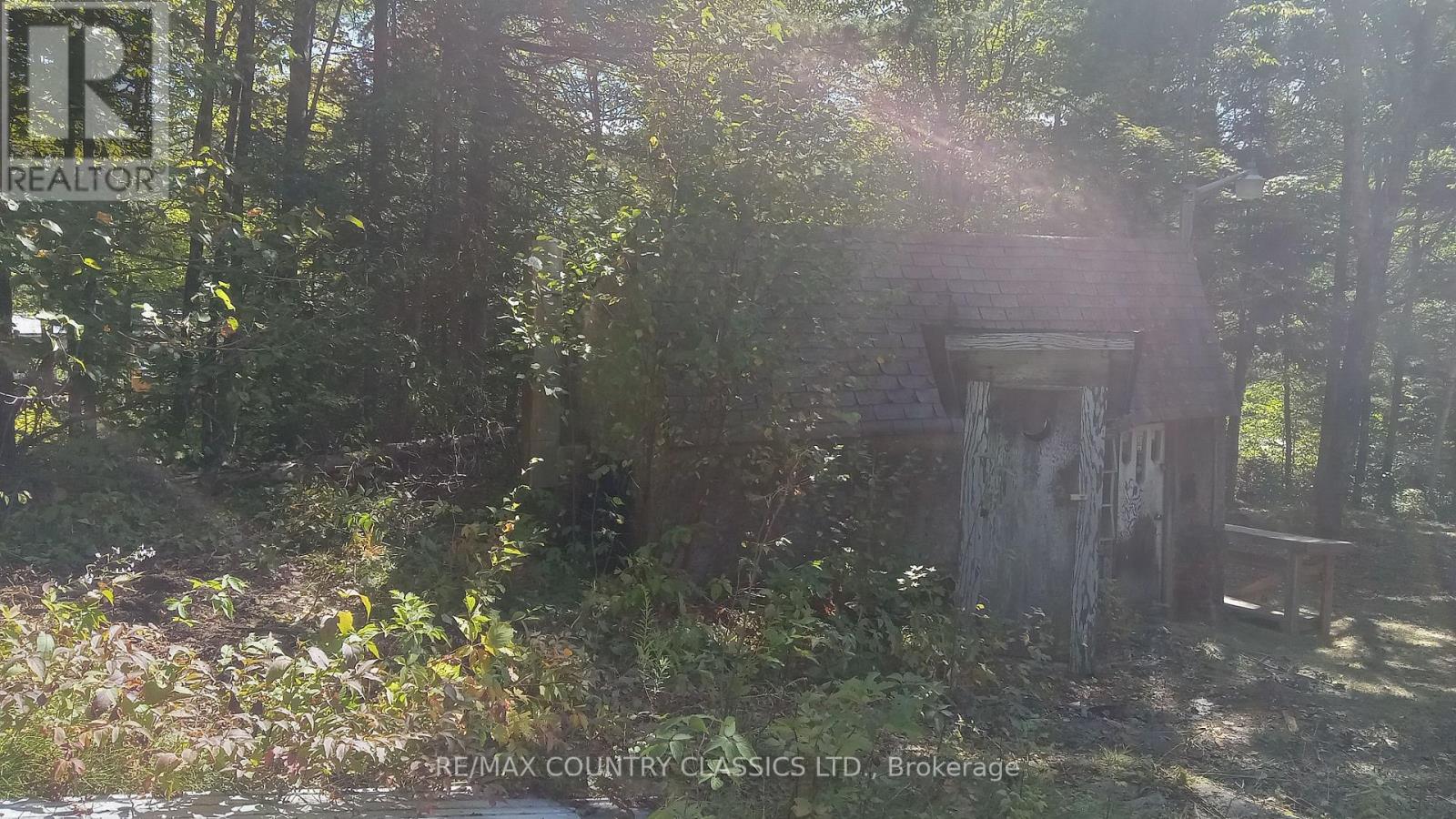 1703 Boulter Road, Carlow/mayo (Carlow Ward), Ontario  K0L 2R0 - Photo 19 - X12838546