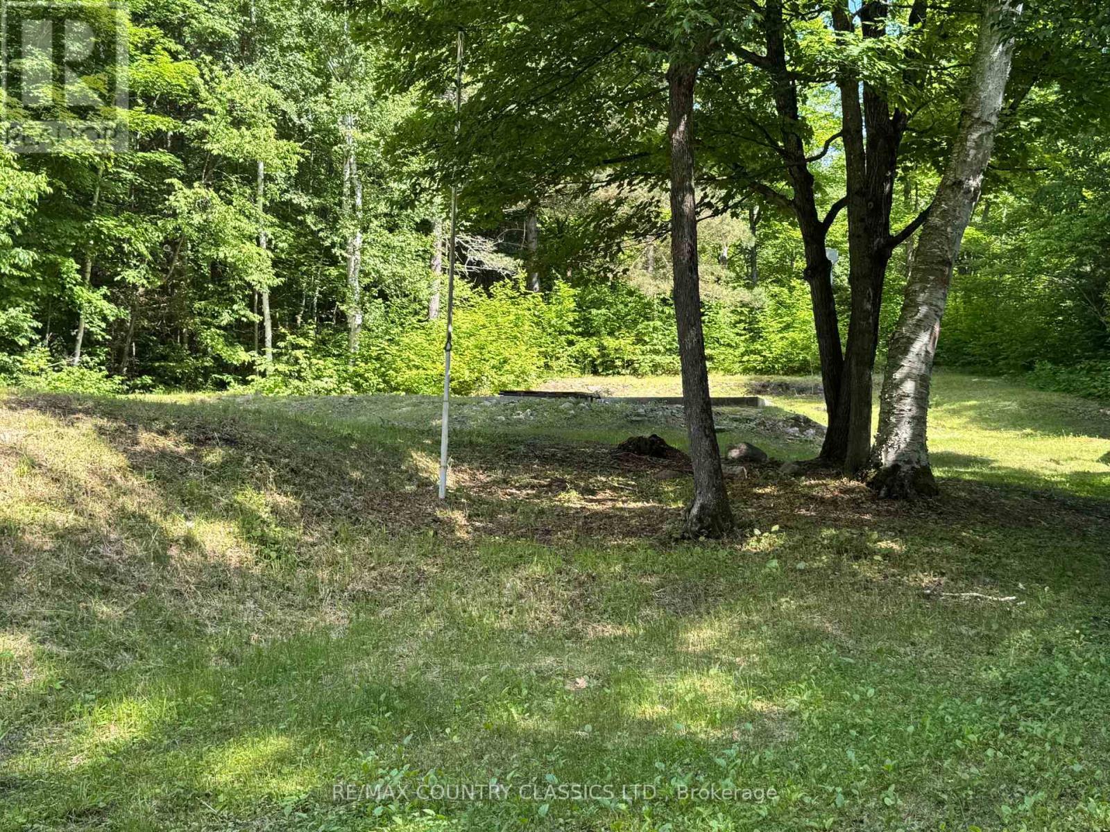 1703 Boulter Road, Carlow/mayo (Carlow Ward), Ontario  K0L 2R0 - Photo 4 - X12838546