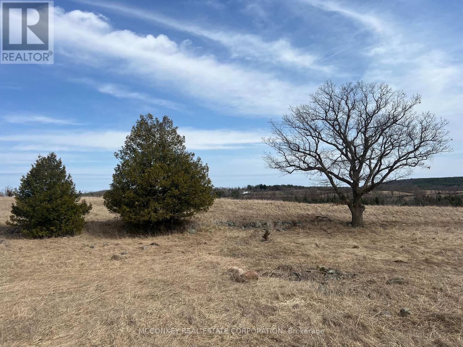 250 Concession Road 13 E, Trent Hills, Ontario  K0L 1Y0 - Photo 10 - X12839252