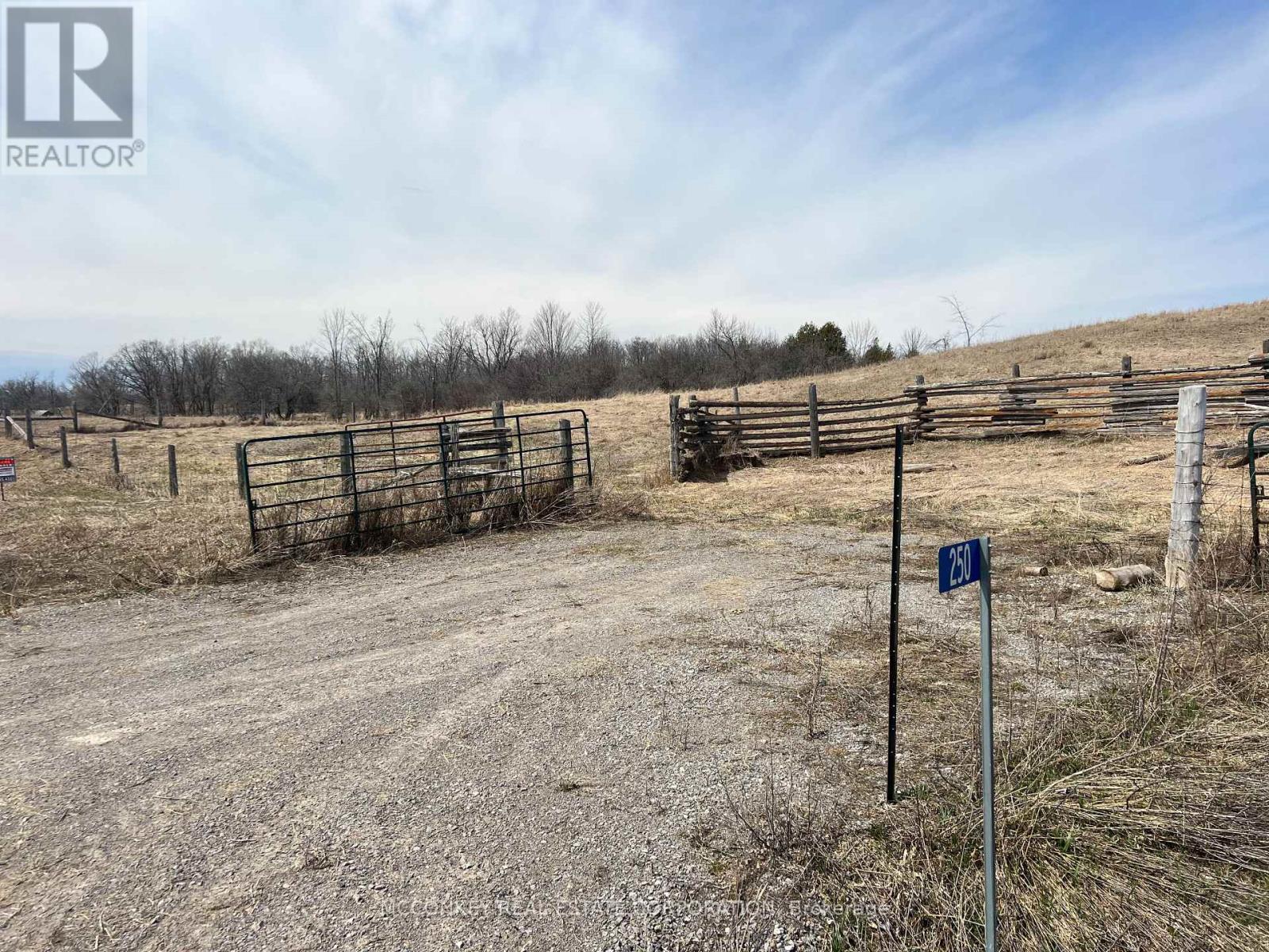 250 Concession Road 13 E, Trent Hills, Ontario  K0L 1Y0 - Photo 4 - X12839252