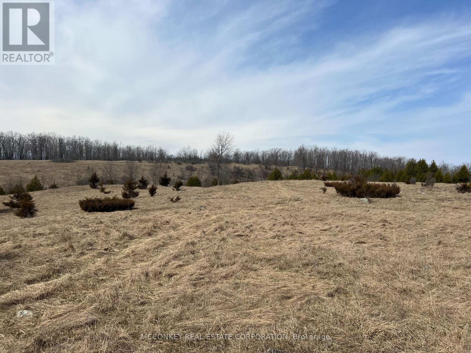 250 Concession Road 13 E, Trent Hills, Ontario  K0L 1Y0 - Photo 8 - X12839252