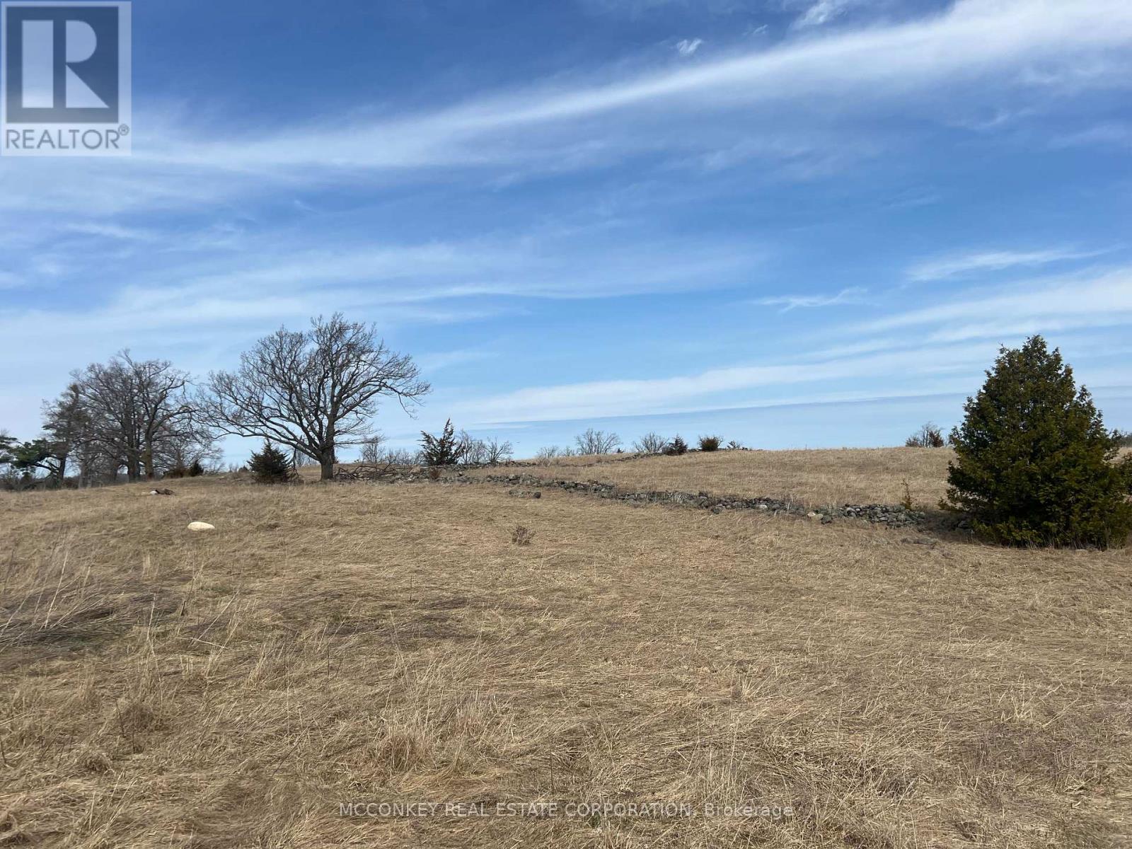 250 Concession Road 13 E, Trent Hills, Ontario  K0L 1Y0 - Photo 9 - X12839252