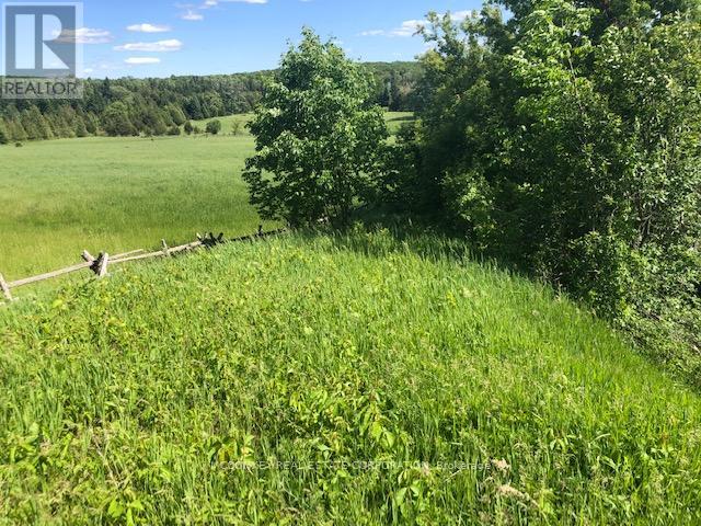 251 Concession Rd 13 E, Trent Hills, Ontario  K0L 1Y0 - Photo 16 - X12839258