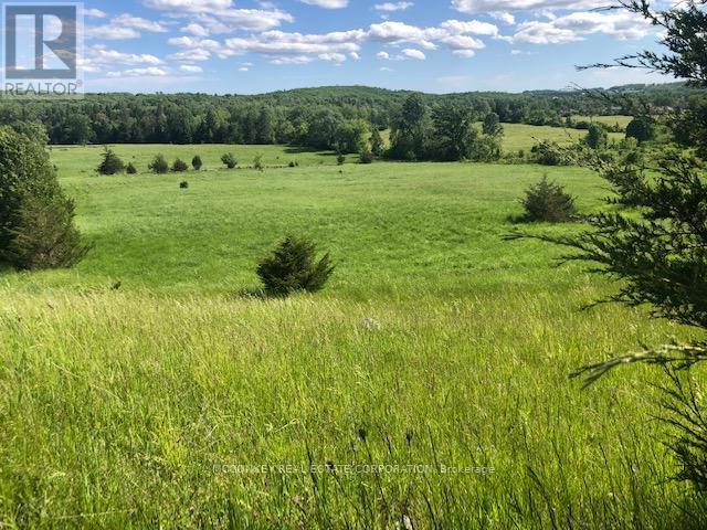 251 Concession Rd 13 E, Trent Hills, Ontario  K0L 1Y0 - Photo 19 - X12839258