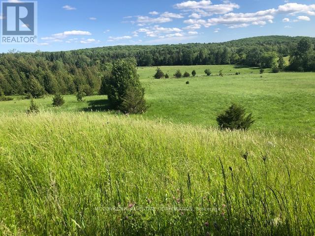 251 Concession Rd 13 E, Trent Hills, Ontario  K0L 1Y0 - Photo 20 - X12839258