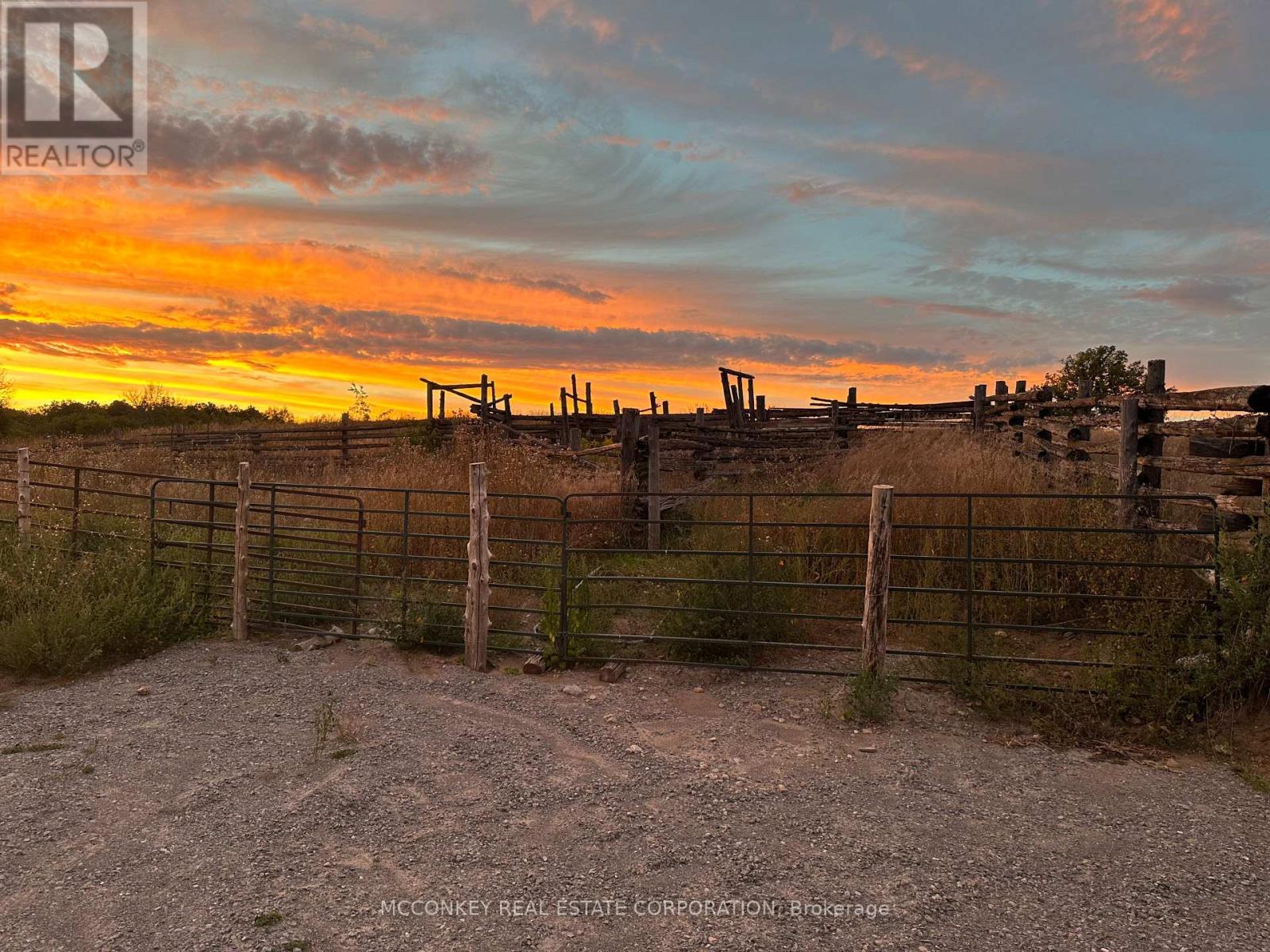 252 Concession Road 13 E, Trent Hills, Ontario  K0L 1Y0 - Photo 13 - X12839268