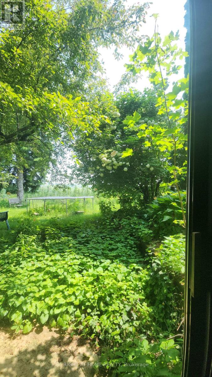 2853 Bellwood Drive, Clarington, Ontario  L1B 0L5 - Photo 23 - E12841548