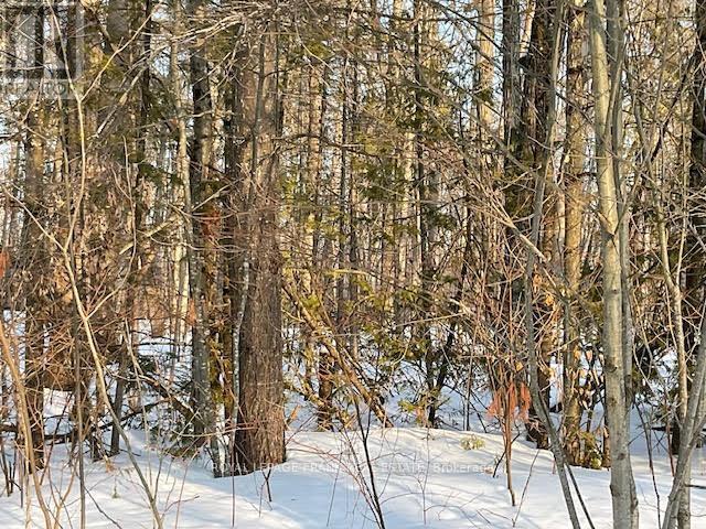 0 SUGARBUSH CRESCENT, trent lakes, Ontario