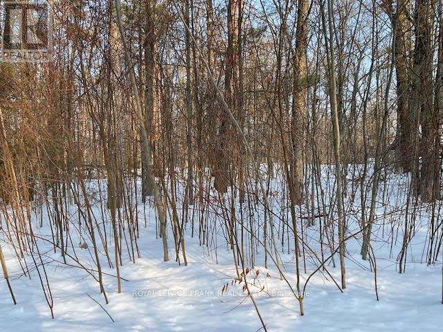 0 Sugarbush Crescent, Trent Lakes, Ontario  K0L 1J0 - Photo 2 - X12842806