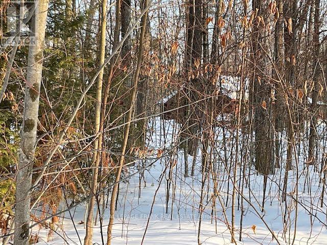 0 Sugarbush Crescent, Trent Lakes, Ontario  K0L 1J0 - Photo 4 - X12842806