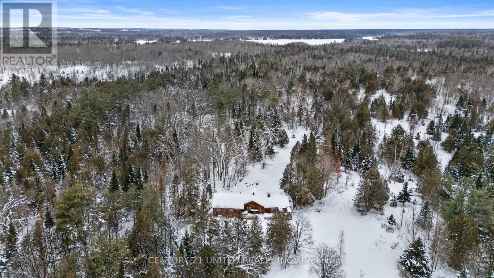 257 Big Cedar Lake Road, North Kawartha, Ontario  K0L 2H0 - Photo 27 - X12843238