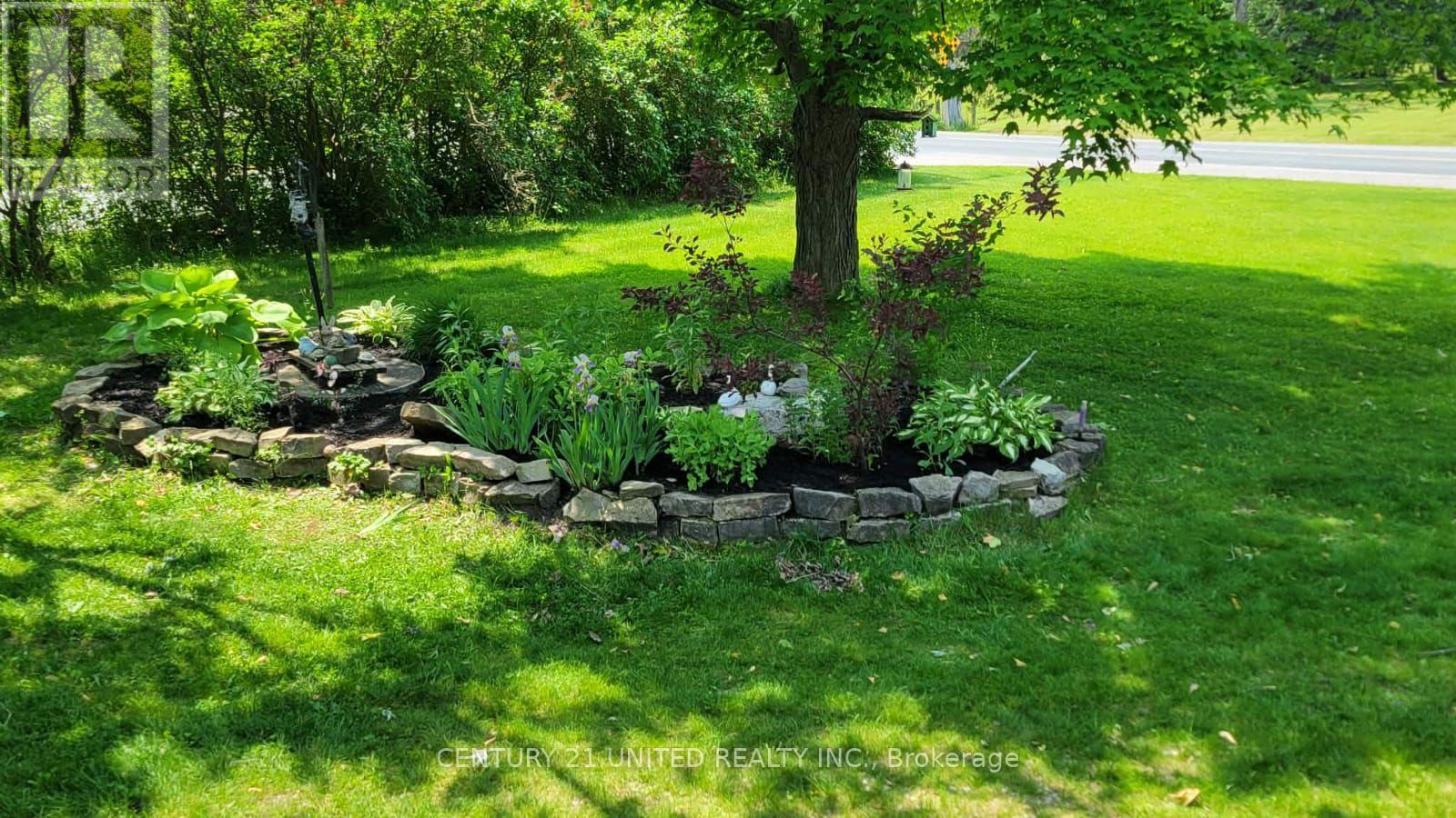 1585 County Rd 4, Douro-Dummer, Ontario  K0L 3A0 - Photo 48 - X12843254