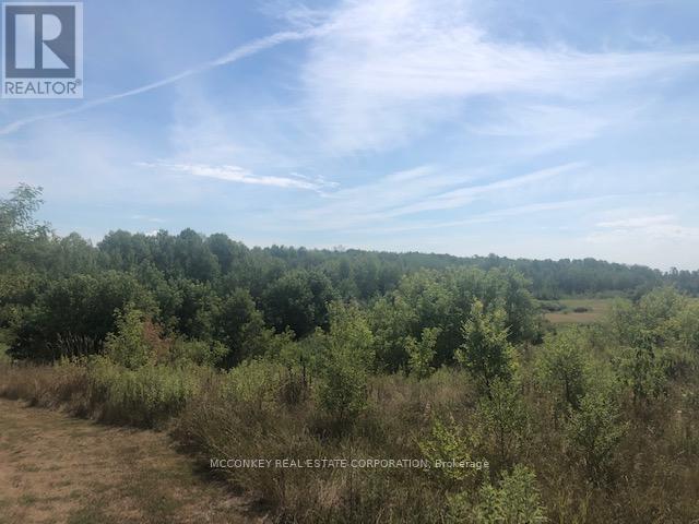 Unknown Address, ,     - Photo 11 - X12843352