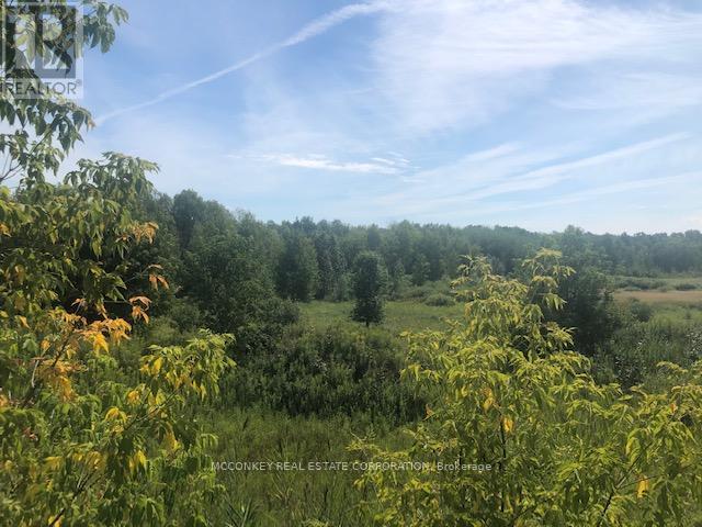 Unknown Address, ,     - Photo 9 - X12843352