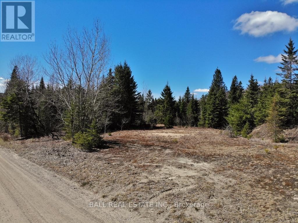 N/a Maynooth, Hastings Highlands (Monteagle Ward), Ontario  K0L 2S0 - Photo 11 - X12844142
