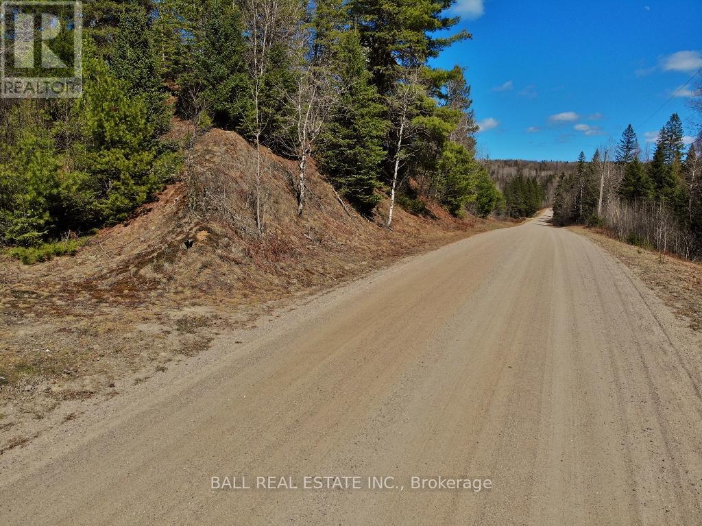 N/a Maynooth, Hastings Highlands (Monteagle Ward), Ontario  K0L 2S0 - Photo 13 - X12844142