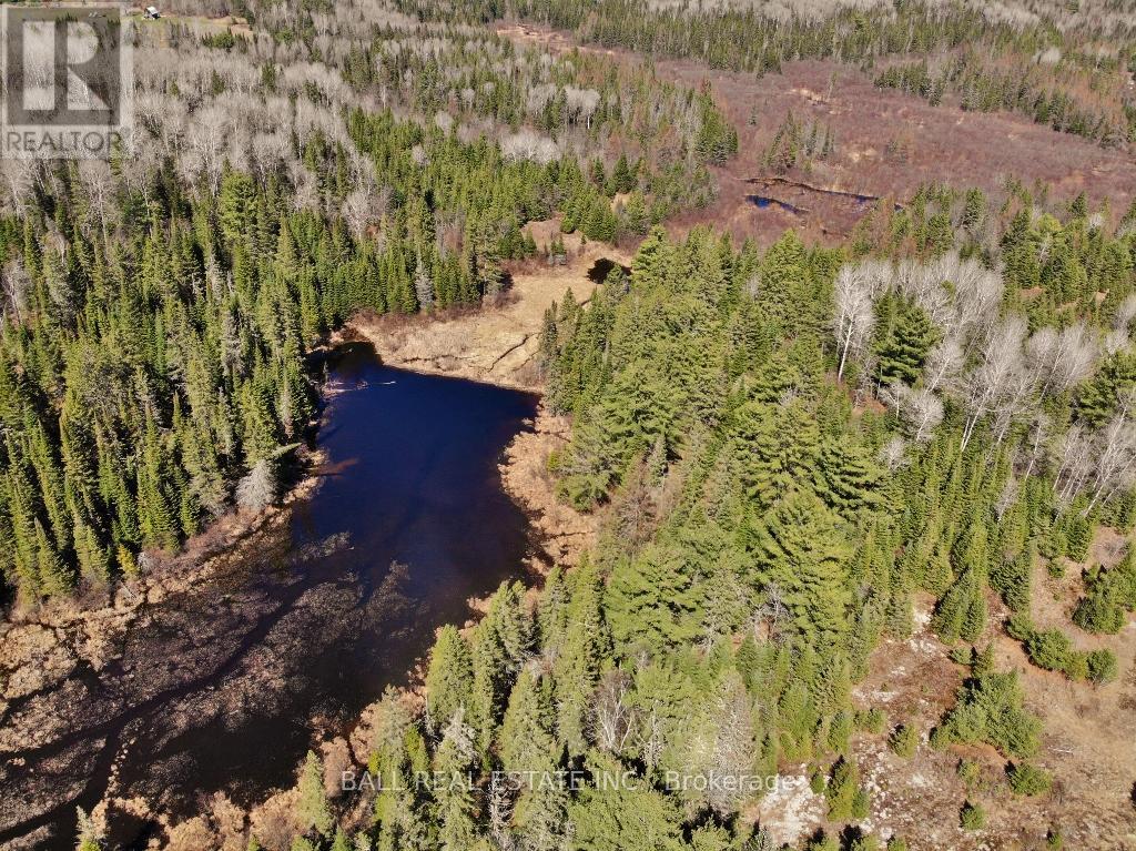 N/a Maynooth, Hastings Highlands (Monteagle Ward), Ontario  K0L 2S0 - Photo 6 - X12844142