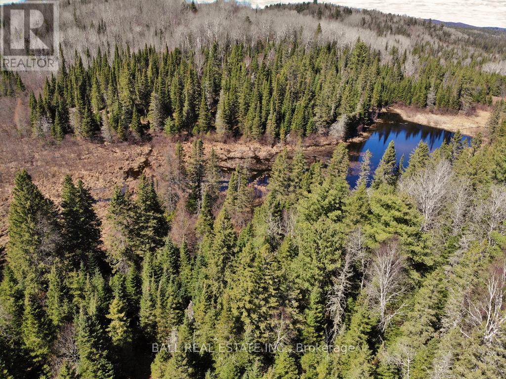 N/a Maynooth, Hastings Highlands (Monteagle Ward), Ontario  K0L 2S0 - Photo 8 - X12844142