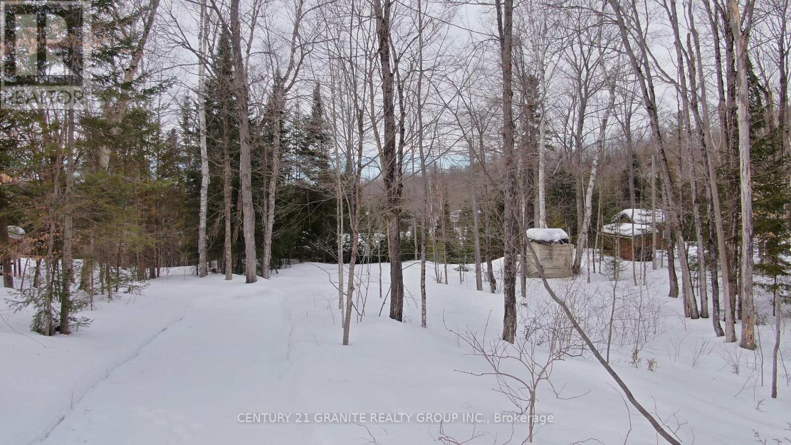 366 E Sheldon Lane, Hastings Highlands (Monteagle Ward), Ontario  K0L 1C0 - Photo 10 - X12847926