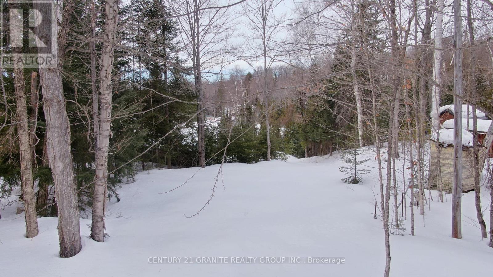 366 E Sheldon Lane, Hastings Highlands (Monteagle Ward), Ontario  K0L 1C0 - Photo 11 - X12847926