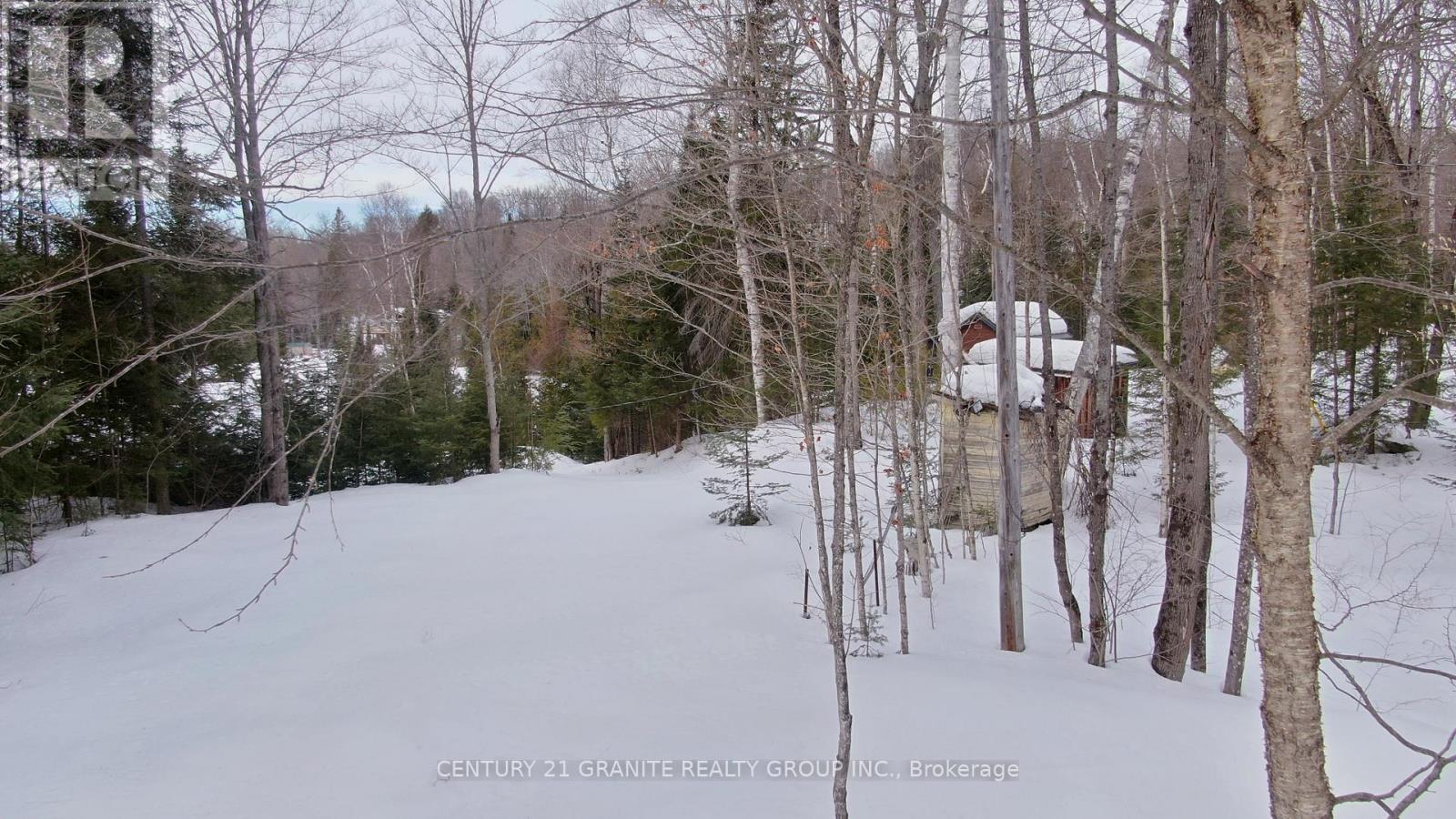 366 E Sheldon Lane, Hastings Highlands (Monteagle Ward), Ontario  K0L 1C0 - Photo 12 - X12847926