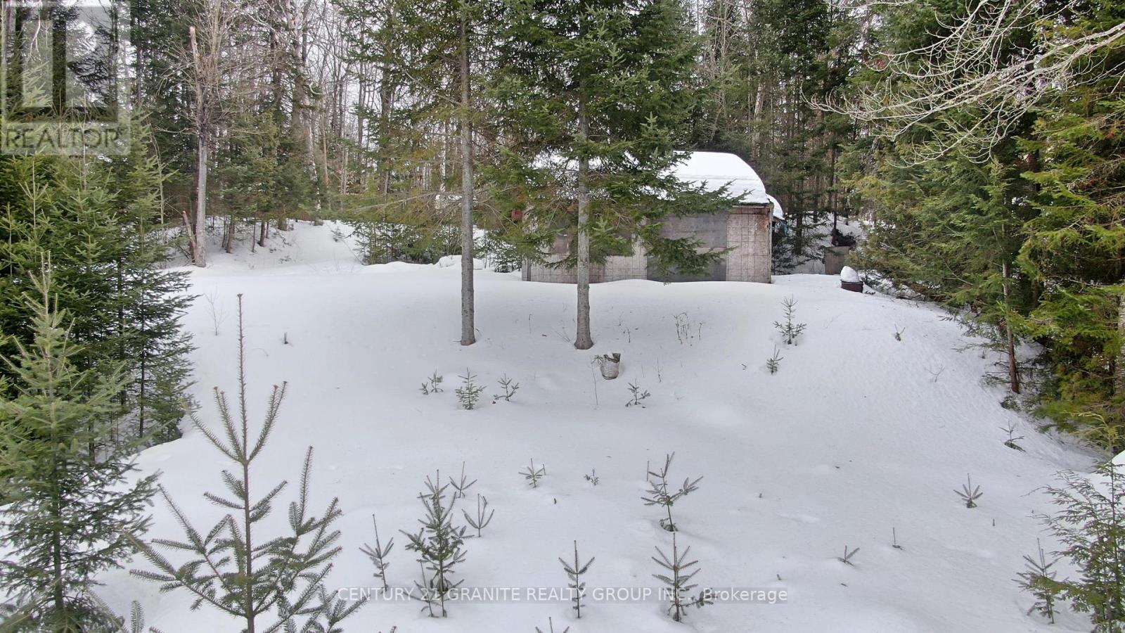 366 E Sheldon Lane, Hastings Highlands (Monteagle Ward), Ontario  K0L 1C0 - Photo 18 - X12847926