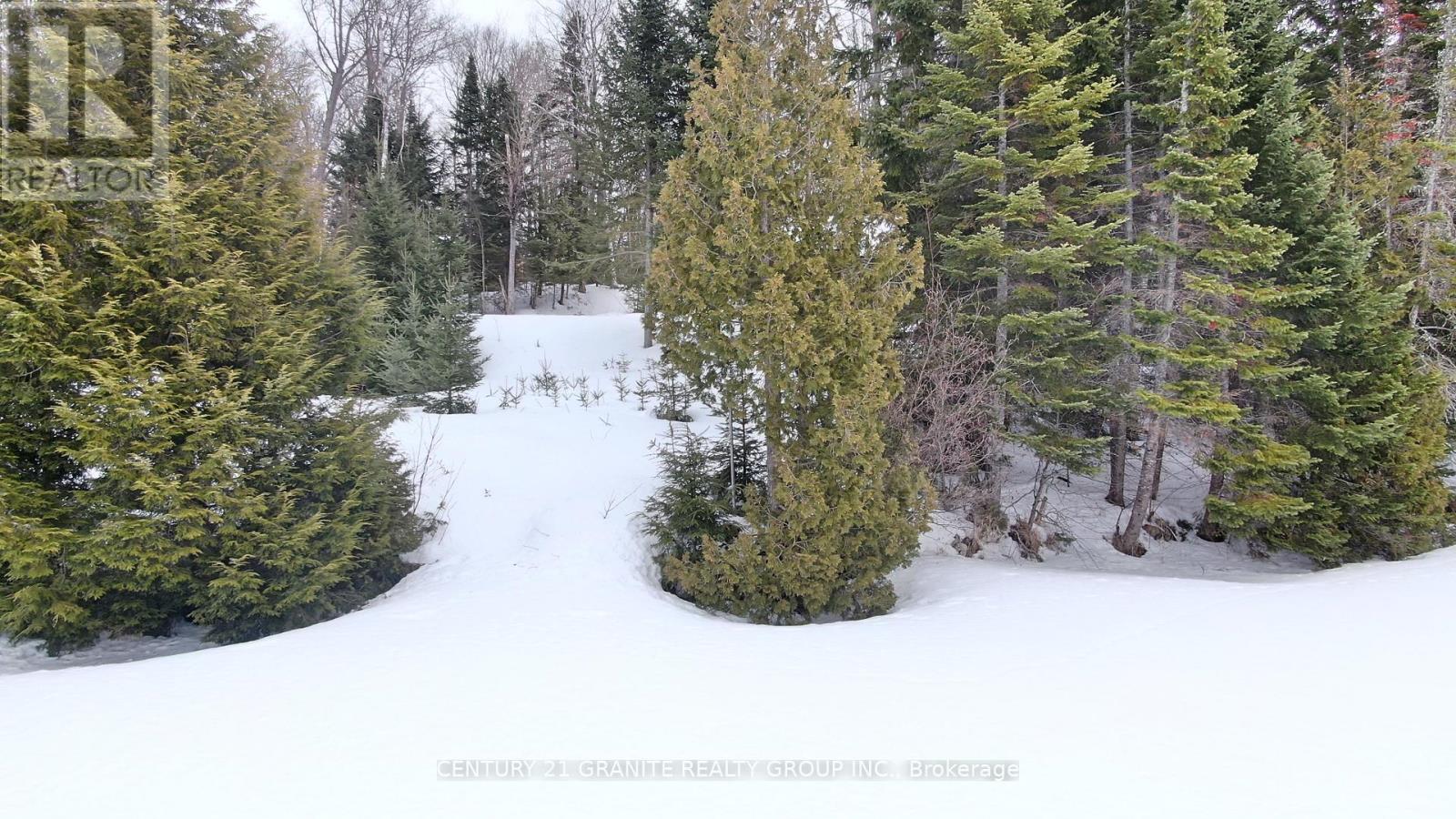 366 E Sheldon Lane, Hastings Highlands (Monteagle Ward), Ontario  K0L 1C0 - Photo 20 - X12847926