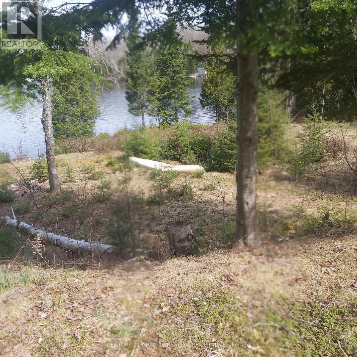 366 E Sheldon Lane, Hastings Highlands (Monteagle Ward), Ontario  K0L 1C0 - Photo 5 - X12847926