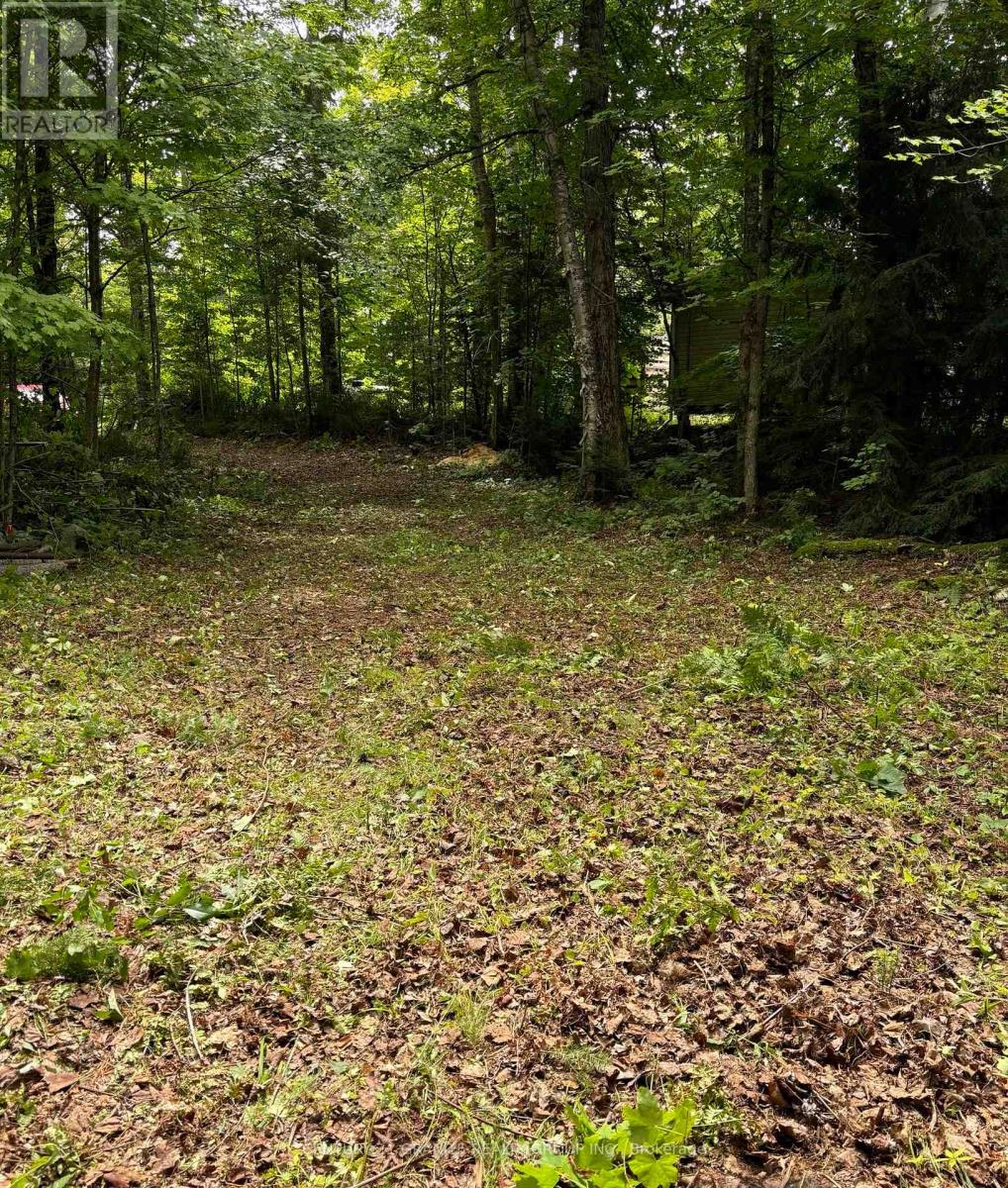 366 E Sheldon Lane, Hastings Highlands (Monteagle Ward), Ontario  K0L 1C0 - Photo 6 - X12847926