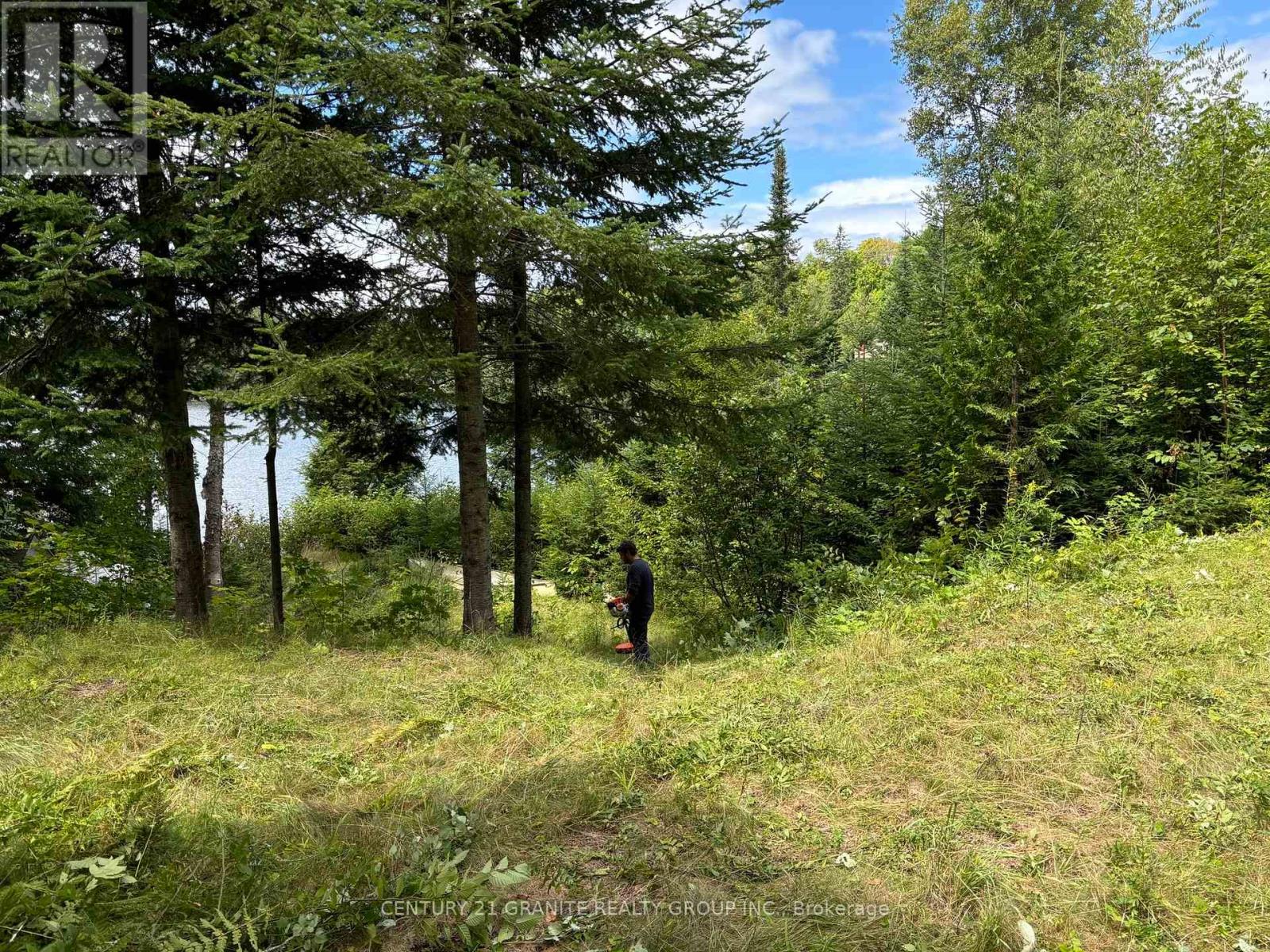 366 E Sheldon Lane, Hastings Highlands (Monteagle Ward), Ontario  K0L 1C0 - Photo 7 - X12847926