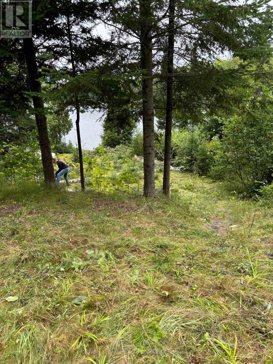 366 E Sheldon Lane, Hastings Highlands (Monteagle Ward), Ontario  K0L 1C0 - Photo 8 - X12847926