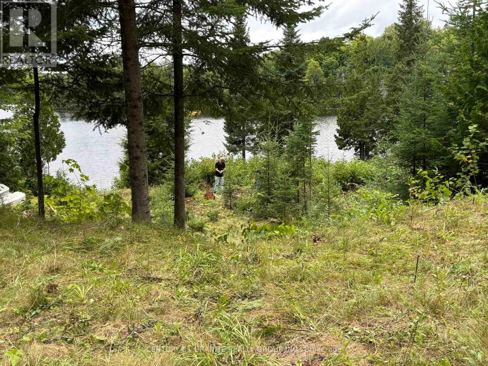 366 E Sheldon Lane, Hastings Highlands (Monteagle Ward), Ontario  K0L 1C0 - Photo 9 - X12847926