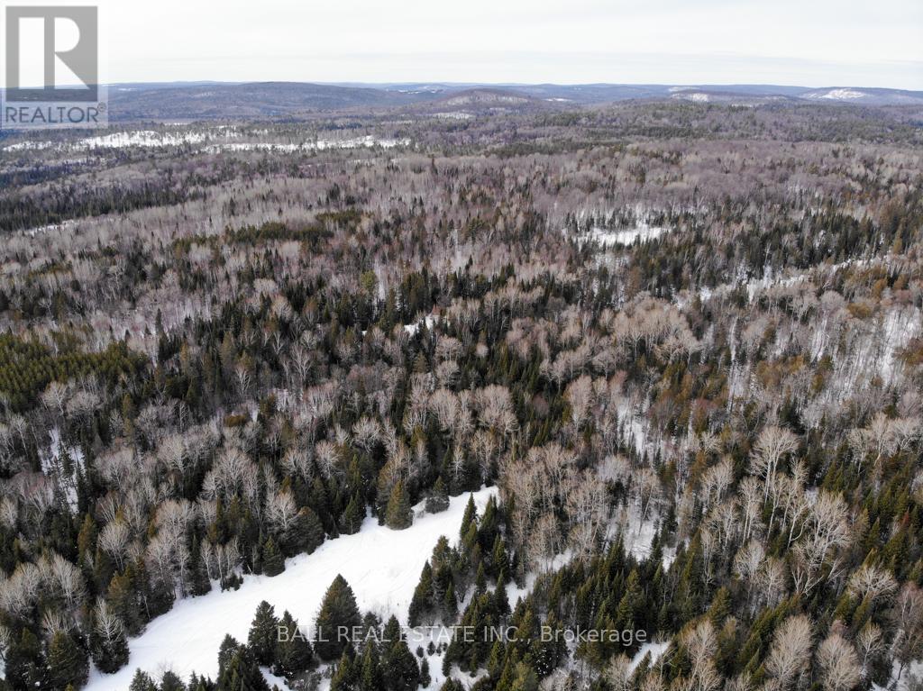 1084 A. Guy Wilson Road, Carlow/mayo (Carlow Ward), Ontario  K0L 1G0 - Photo 12 - X12849102