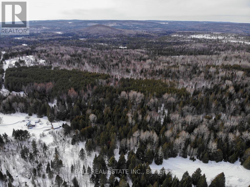 1084 A. Guy Wilson Road, Carlow/mayo (Carlow Ward), Ontario  K0L 1G0 - Photo 13 - X12849102