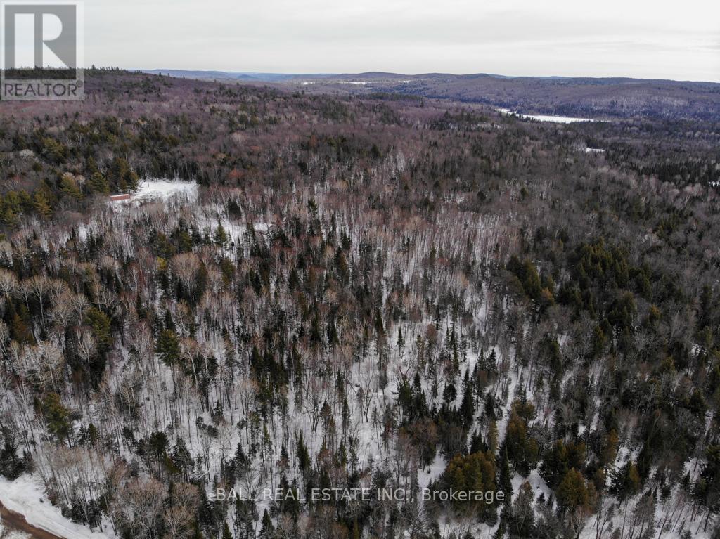 1084 A. Guy Wilson Road, Carlow/mayo (Carlow Ward), Ontario  K0L 1G0 - Photo 15 - X12849102