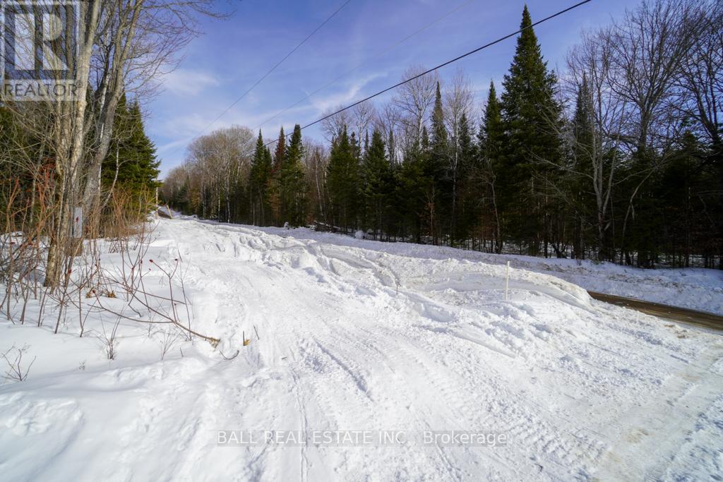 1084 A. Guy Wilson Road, Carlow/mayo (Carlow Ward), Ontario  K0L 1G0 - Photo 42 - X12849102