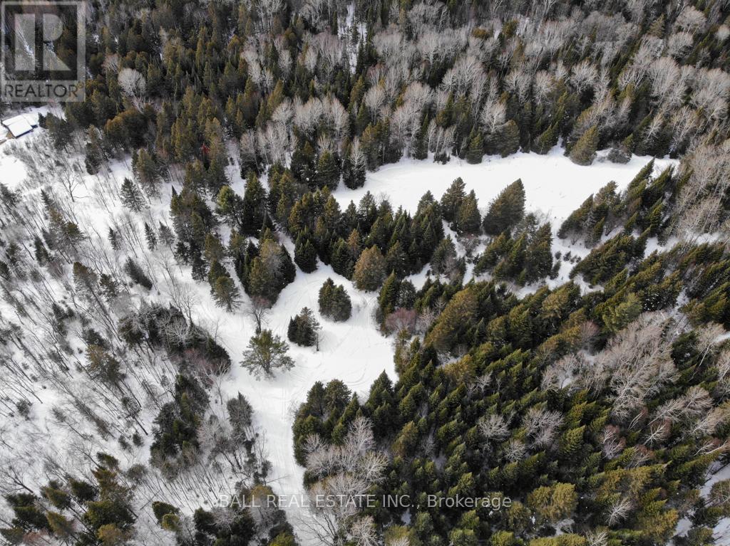 1084 A. Guy Wilson Road, Carlow/mayo (Carlow Ward), Ontario  K0L 1G0 - Photo 8 - X12849102