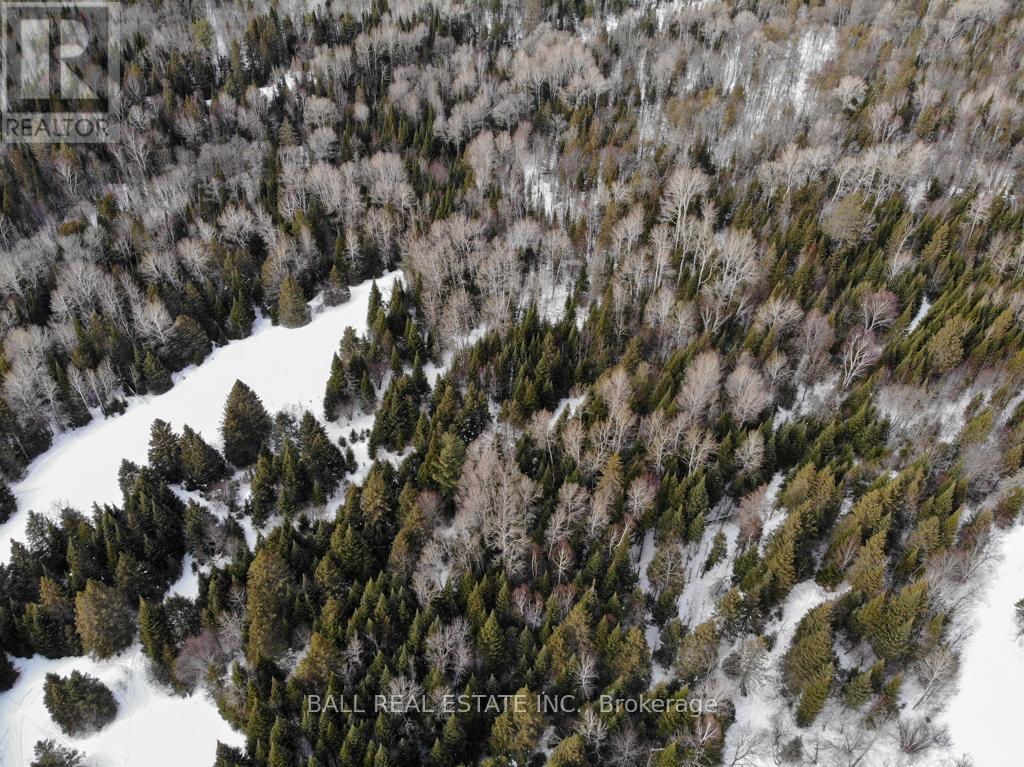 1084 A. Guy Wilson Road, Carlow/mayo (Carlow Ward), Ontario  K0L 1G0 - Photo 9 - X12849102