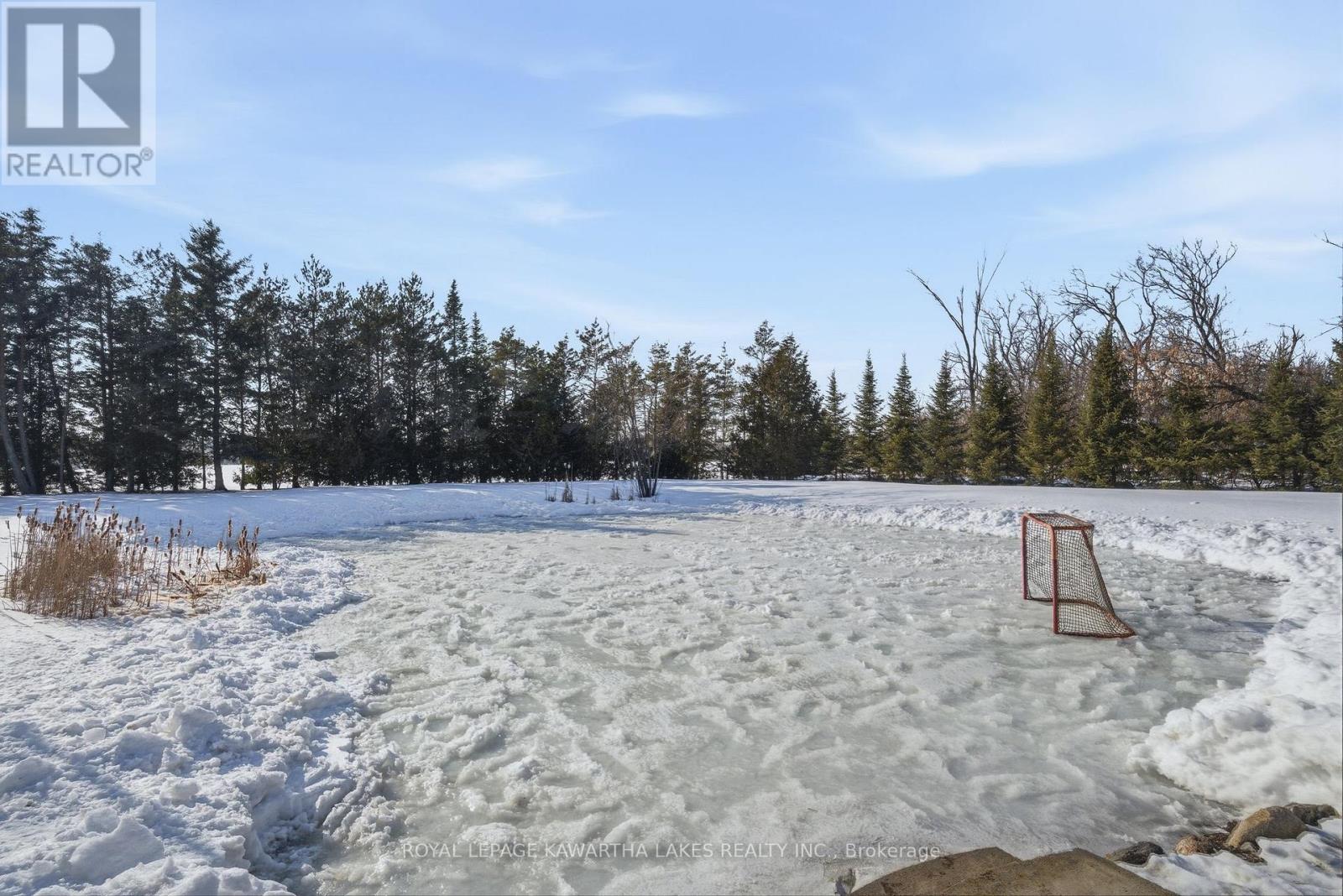 77 County Rd 36, Kawartha Lakes (Ops), Ontario  K9V 4R4 - Photo 49 - X12853898