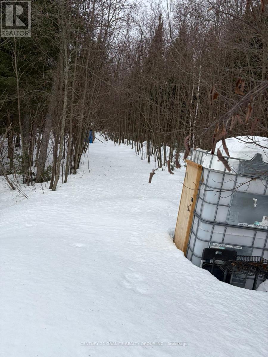 371 Albion Lake Drive, Faraday, Ontario  K0L 1C0 - Photo 6 - X12855918