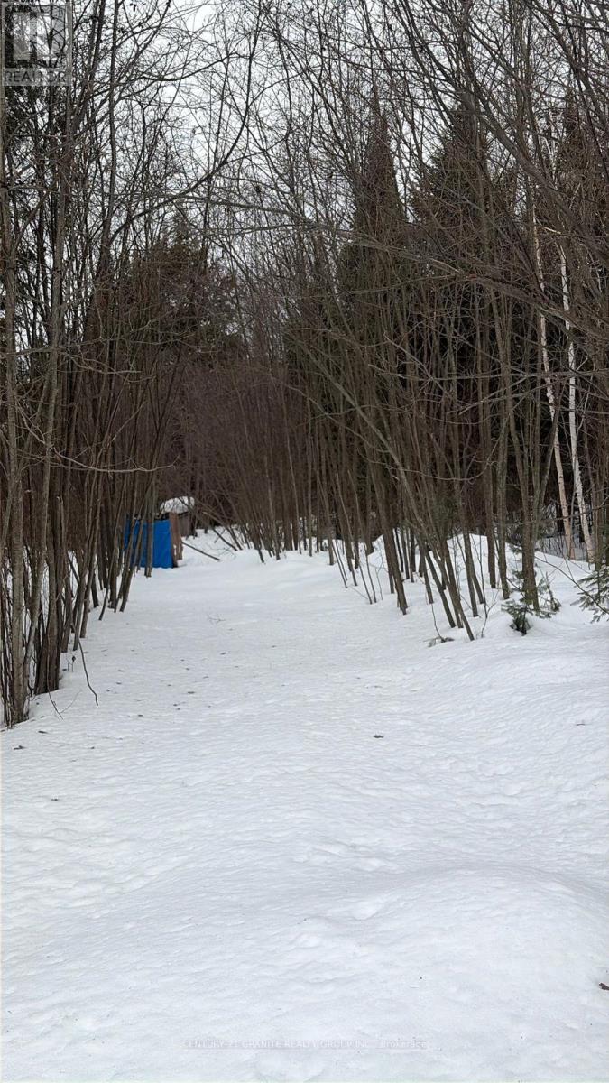 371 Albion Lake Drive, Faraday, Ontario  K0L 1C0 - Photo 9 - X12855918