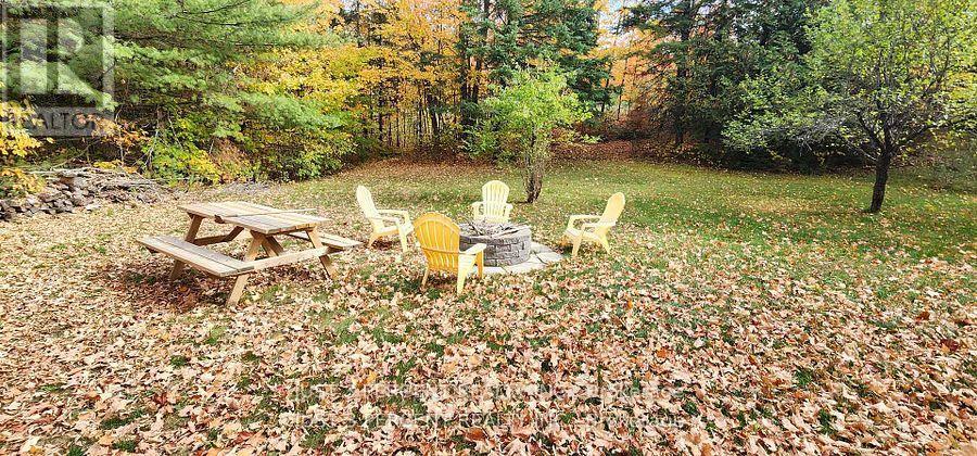 1492 County Rd 620 Road, North Kawartha, Ontario  K0L 1A0 - Photo 15 - X12856332