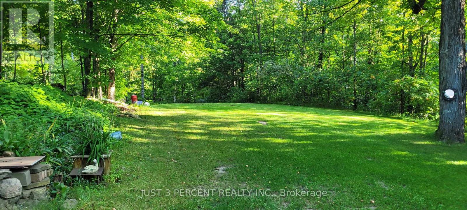 1492 County Rd 620 Road, North Kawartha, Ontario  K0L 1A0 - Photo 48 - X12856332