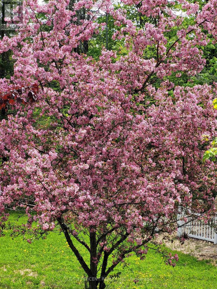 1492 County Rd 620 Road, North Kawartha, Ontario  K0L 1A0 - Photo 49 - X12856332