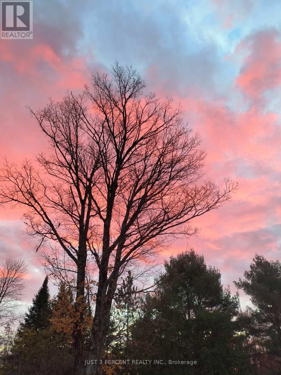 1492 County Rd 620 Road, North Kawartha, Ontario  K0L 1A0 - Photo 50 - X12856332