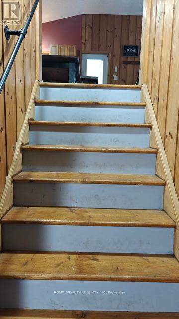 530 Weslemkoon Lake Road, Tudor And Cashel (Tudor Ward), Ontario  K0L 1W0 - Photo 22 - X12857890