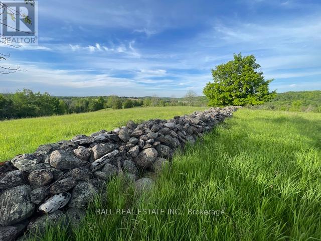 239 Concession 11w, Trent Hills, Ontario  K0L 1Y0 - Photo 11 - X12861196