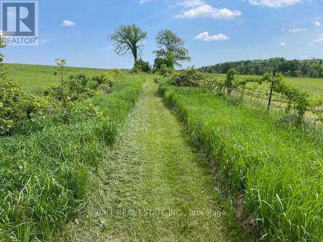 239 Concession 11w, Trent Hills, Ontario  K0L 1Y0 - Photo 12 - X12861196