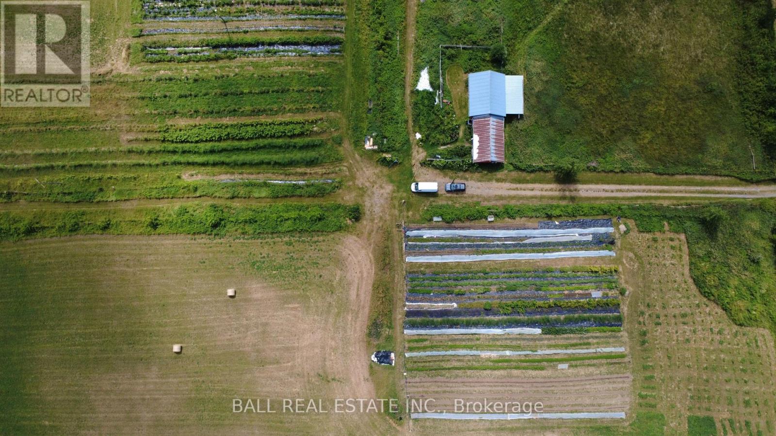 239 Concession 11w, Trent Hills, Ontario  K0L 1Y0 - Photo 15 - X12861196