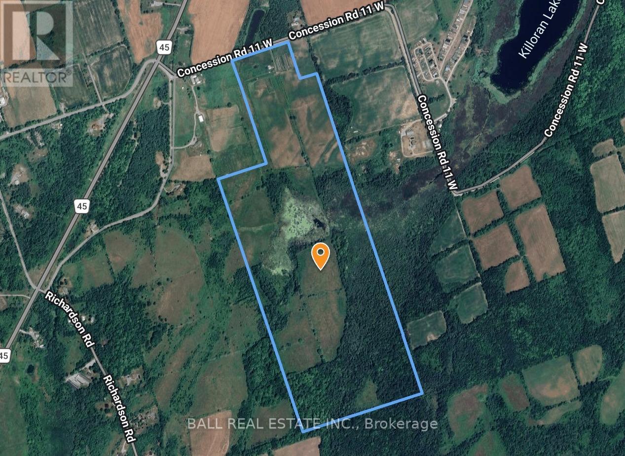 239 Concession 11w, Trent Hills, Ontario  K0L 1Y0 - Photo 2 - X12861196